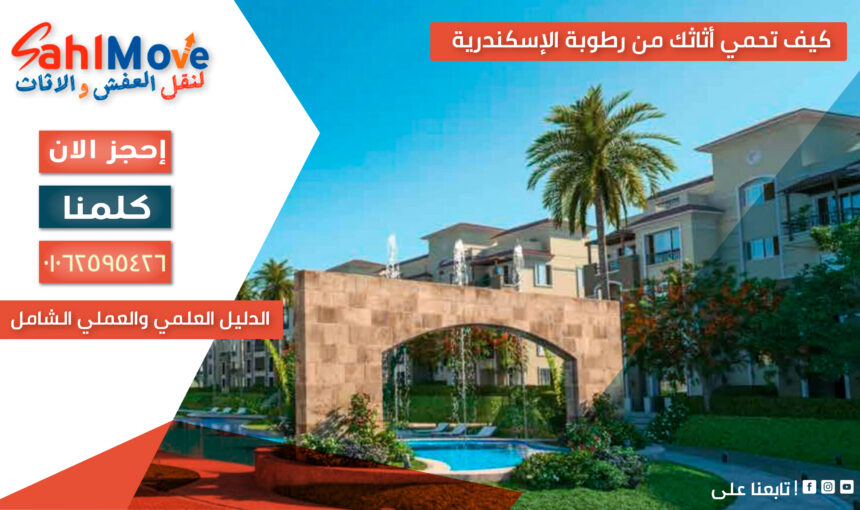 كيف تحمي أثاثك من رطوبة الإسكندرية – الدليل العلمي والعملي الشامل